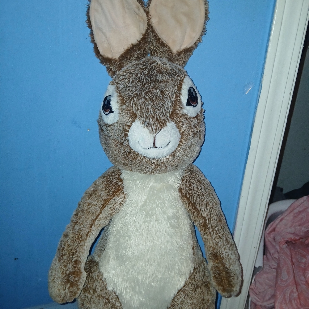 Peter Rabbit
